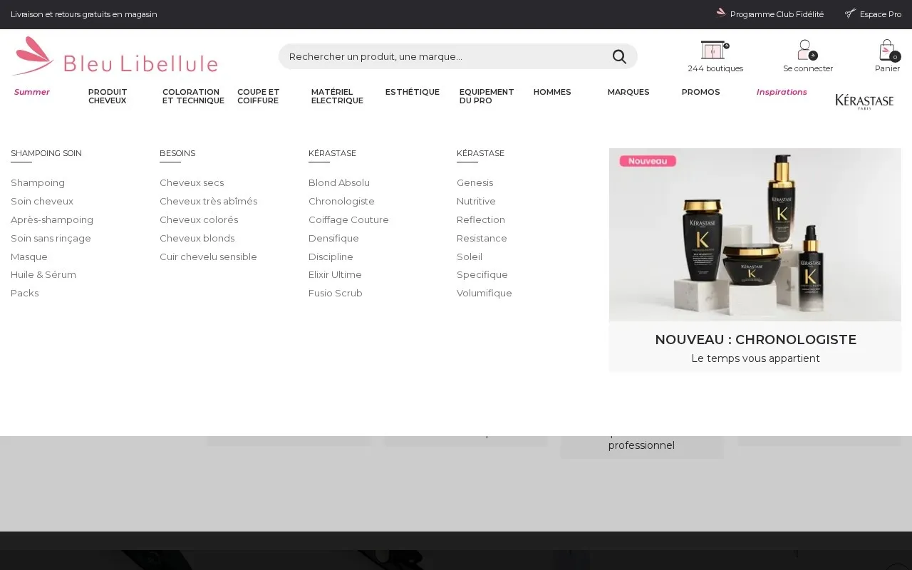 Aperçu du site Bleu Libellule