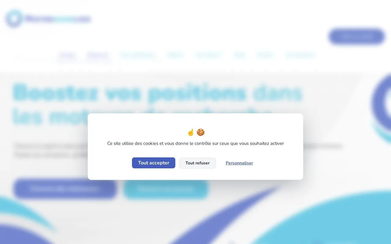 Aperçu MisterGoodLink