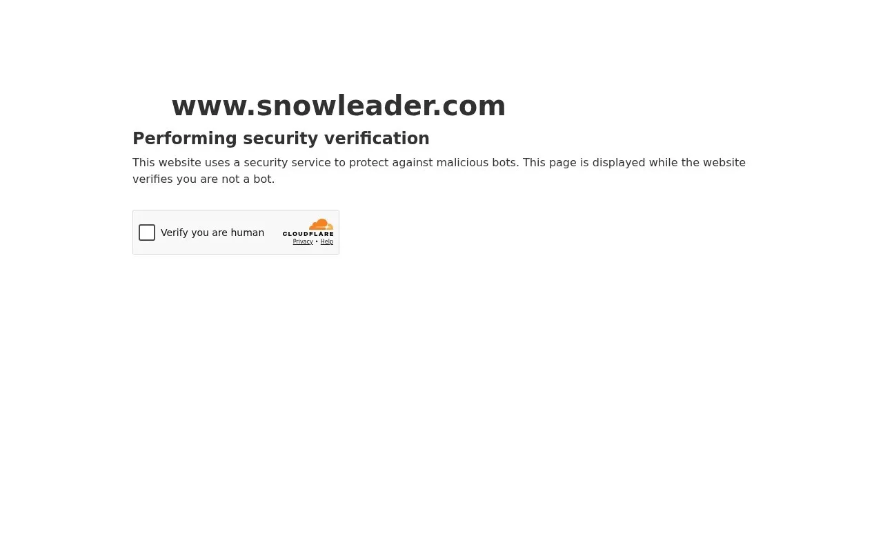 Aperçu Snowleader