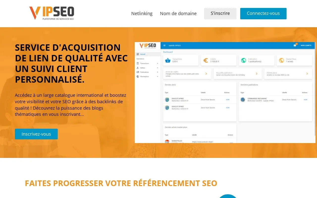 Aperçu du site VipSEO